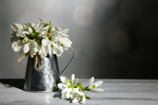 Krásný sněženky v kovové vázy na šedém pozadí — Stock fotografie