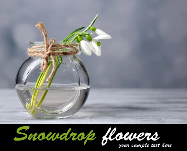 Mooi boeket van sneeuwklokjes in vaas op lichte achtergrond — Stockfoto