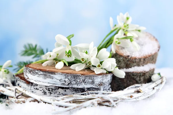 Beautiful snowdrops on snow, on nature winter background — Stock Photo, Image