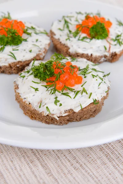 Deliziose tartine sul piatto primo piano — Foto Stock