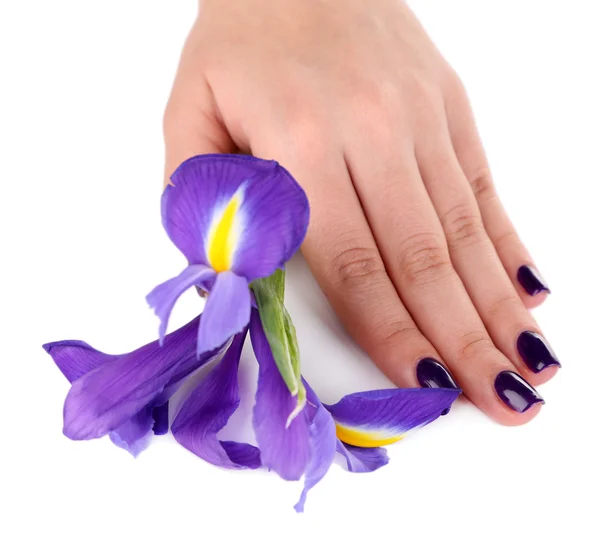 Beautiful woman hand with flower isolated on white — Stock Photo, Image