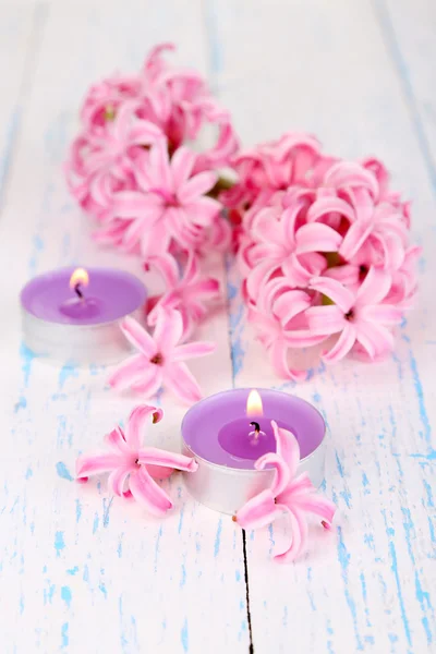 Różowy Hiacynt ze świecami na drewniane tła — Zdjęcie stockowe