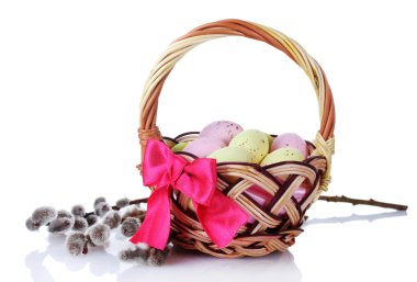 basket with Easter eggs and pussy-willow twigs isolated on white
