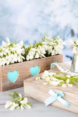 kardelen ile güzel bahar kompozisyon 