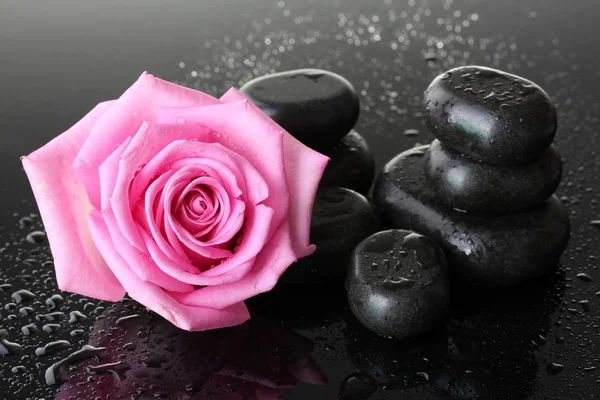 Σπα πέτρες με σταγόνες και ροζ τριαντάφυλλο σε γκρι φόντο — Φωτογραφία Αρχείου