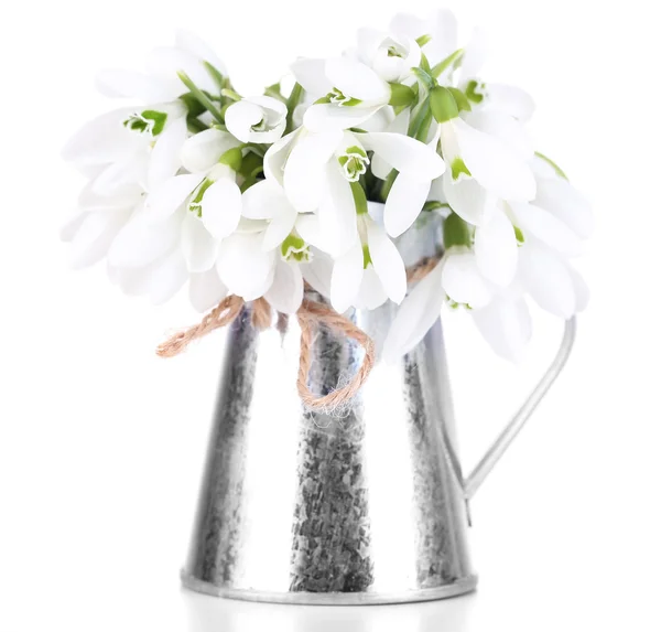 Beautiful snowdrops in metal vase, isolated on white — Stock Photo, Image