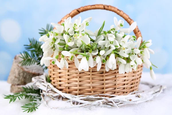 Schöner Strauß Schneeglöckchen im Weidenkorb auf Schnee — Stockfoto