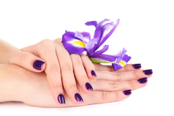 Beautiful woman hands with flower isolated on white — Stock Photo, Image