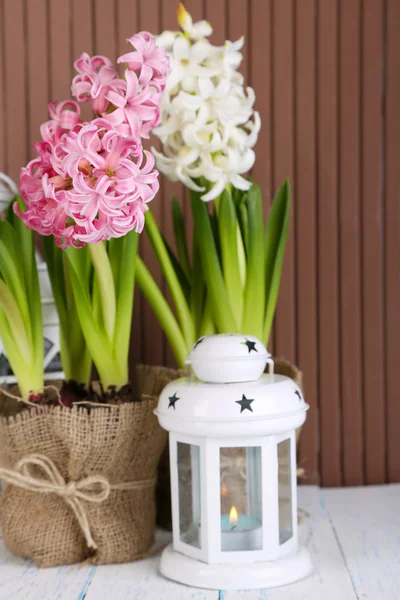 Hyacint květiny v květináčích na tabulce na dřevěné pozadí — Stock fotografie