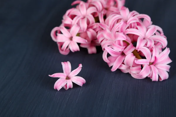 Rosa hyacint på trä bakgrund — Stockfoto