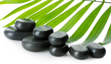 Spa taşı ve yeşil palmiye yaprağı üzerinde beyaz izole