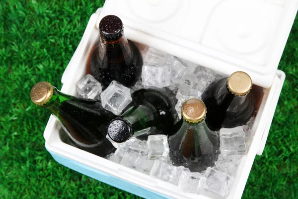 Caixa de gelo cheia de bebidas em garrafas no fundo da grama — Fotografia de Stock