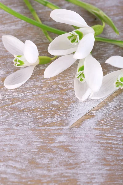 Hermosas nevadas sobre fondo de madera —  Fotos de Stock