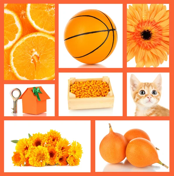 Imágenes: cosas naranjas  collage de fotos en color 