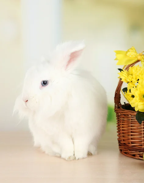 Witte schattig konijn en bloemen in de mand — Stockfoto