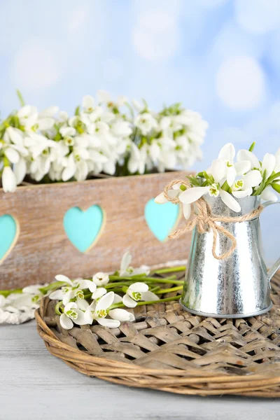 Beautiful spring composition with snowdrops — Stock Photo, Image