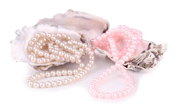 Coquilles avec perles, isolées sur blanc — Photo