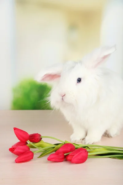 Vit söt kanin och blommor — Stockfoto