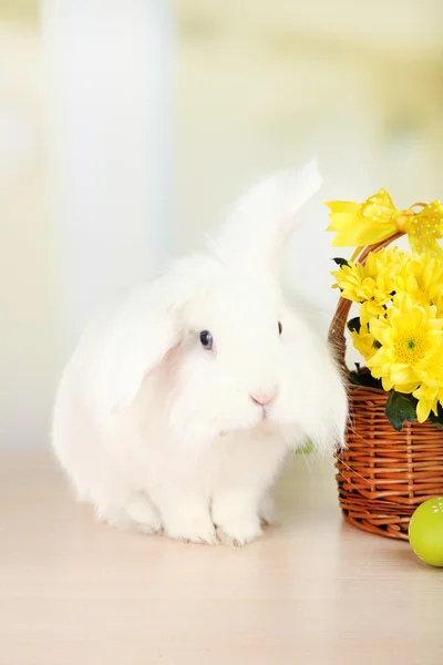 Bílý roztomilá králičí a květiny v košíku — Stock fotografie