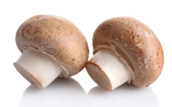 흰 위에 격리 된 신선 한 버섯들 — 스톡 사진