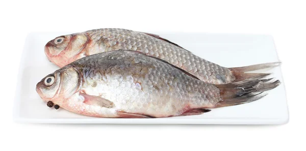 白で隔離される皿に新鮮な魚 — ストック写真
