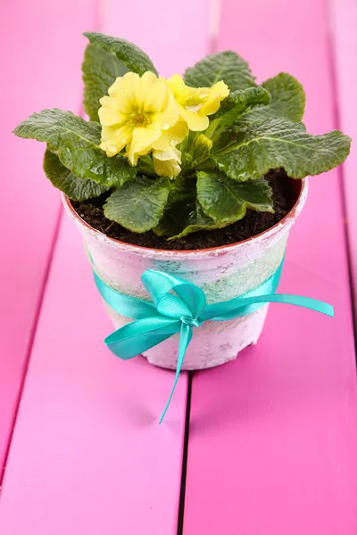 Yellow primrose in pot on  wooden background — Stock Photo, Image