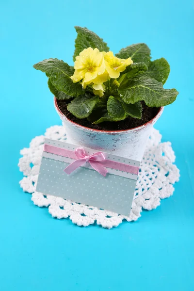 Yellow primrose in pot on color napkin on wooden background — Stock Photo, Image