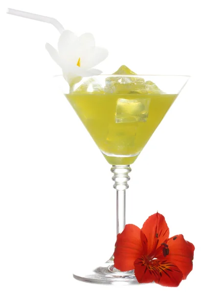 Martini glass of cocktail with ice and flowers isolated on white — Stockfoto