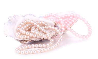 kabukları ile üzerine beyaz izole inciler