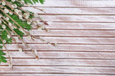 ahşap zemin üzerinde güzel Kukum dal