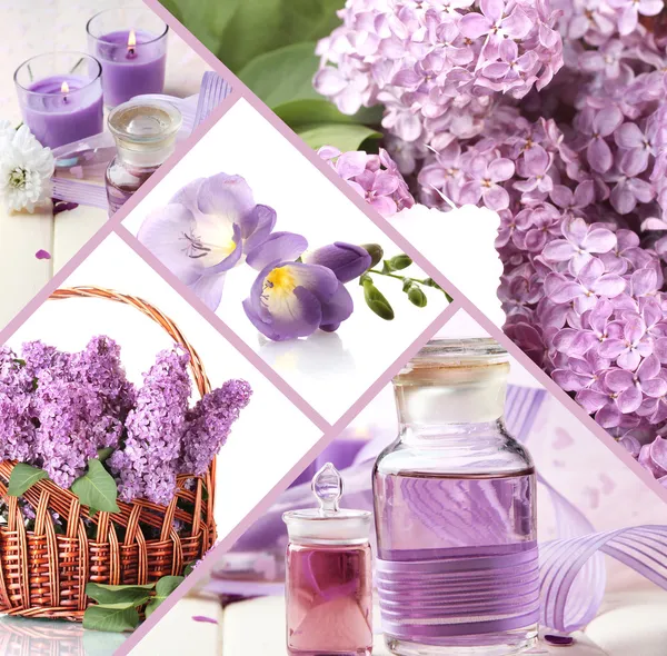 Collage of photos in purple colors — Stock Photo, Image
