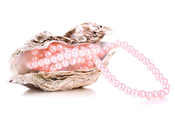 Shell with pearls, isolated on white