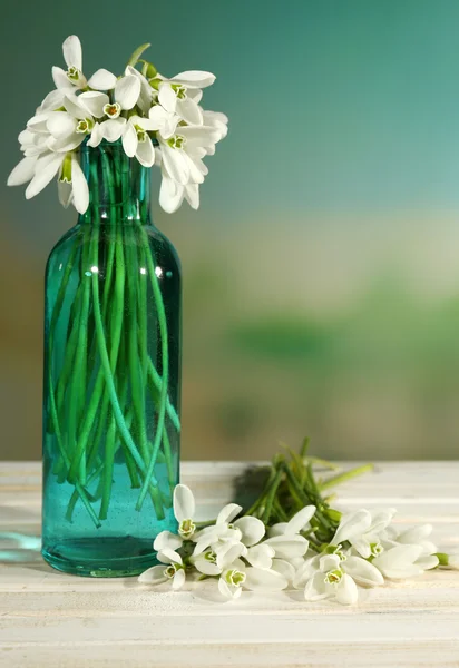 Beautiful snowdrops in bottle, on nature background — Stock Photo, Image