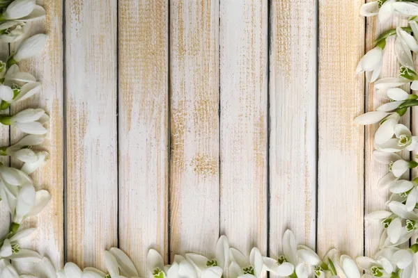 美丽的雪花莲木制背景 — 图库照片