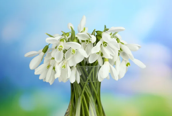 Mooie sneeuwklokjes in vaas op aard achtergrond — Stockfoto