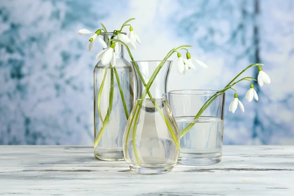 Beautiful snowdrops in vases on nature winter background — Stock Photo, Image