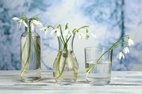 Schöne Schneeglöckchen in Vasen auf Natur Winter Hintergrund — Stockfoto