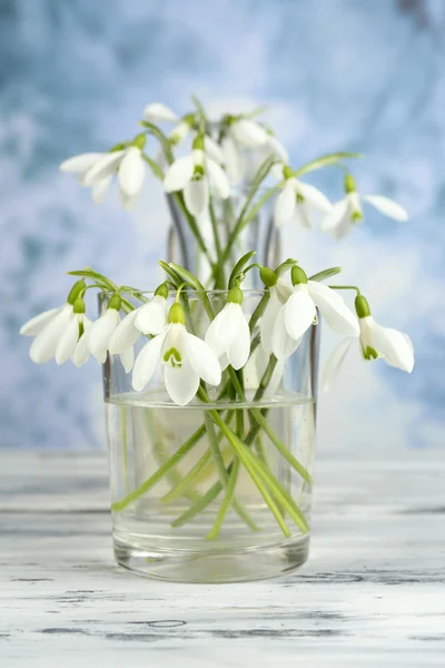 Krásný sněženky v vázy na pozadí zimní přírody — Stock fotografie