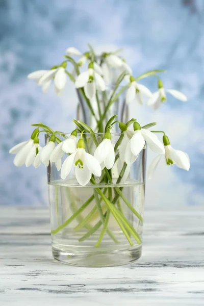 Belas gotas de neve em vasos na natureza fundo de inverno — Fotografia de Stock