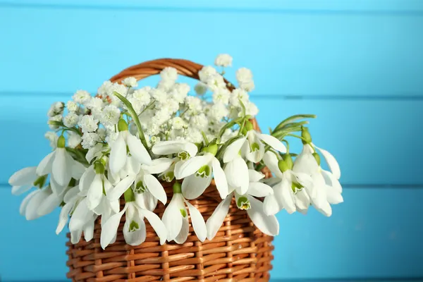 Beautiful snowdrops in basket on blue wooden background — Stock Photo, Image