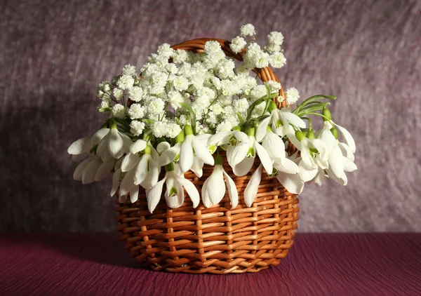 Beautiful snowdrops in basket on  purple table — Stock Photo, Image