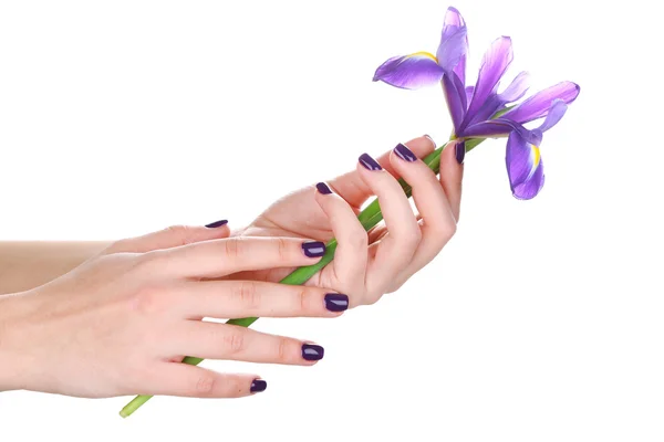 Hermosas manos de mujer con flor aislada en blanco — Foto de Stock