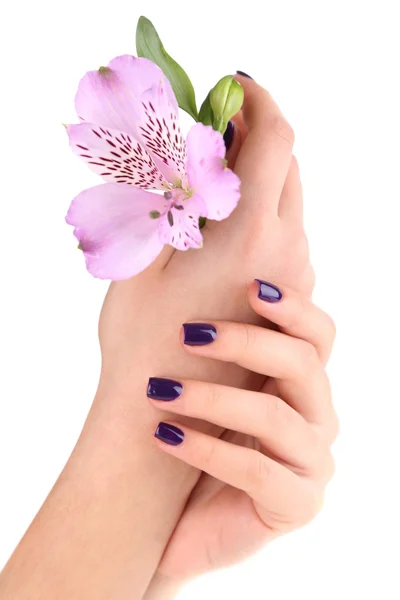 Beautiful woman hands with flower isolated on white — Stock Photo, Image