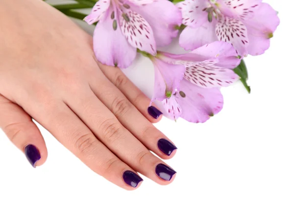 Mooie vrouw hand met bloemen geïsoleerd op wit — Stockfoto