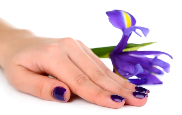 Hermosa mano de mujer con flor aislada en blanco — Foto de Stock