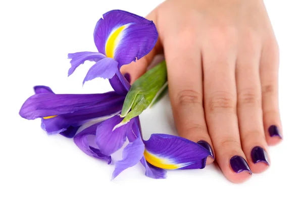 Mooie vrouw hand met bloem geïsoleerd op wit — Stockfoto