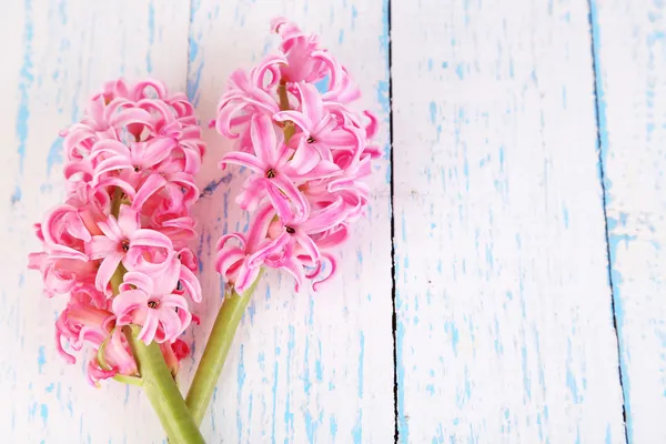 Roze hyacint op houten achtergrond — Stockfoto