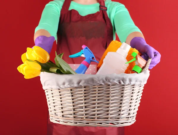 Hausfrau hält Korb mit Reinigungsgeräten auf farbigem Hintergrund. Konzeptfoto vom Frühjahrsputz. — Stockfoto