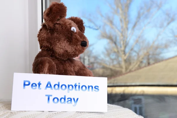 Toy-bear looking out window close-up — Stock Photo, Image