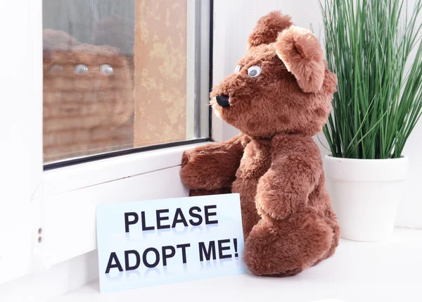 Toy-bear looking out window close-up — Stock Photo, Image